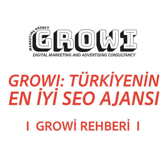 Growi: Türkiye'nin En İyi SEO Ajansı