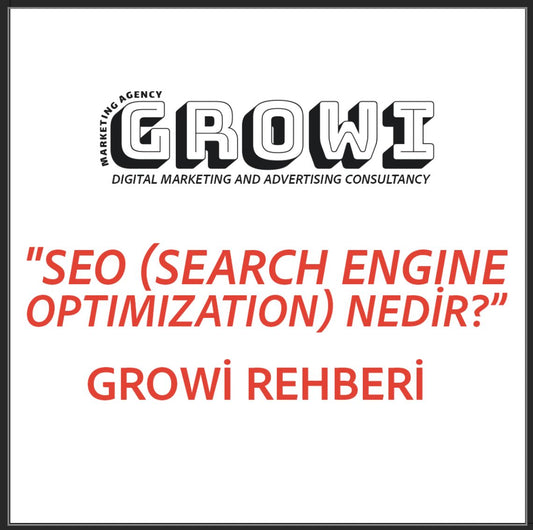 SEO Nedir?